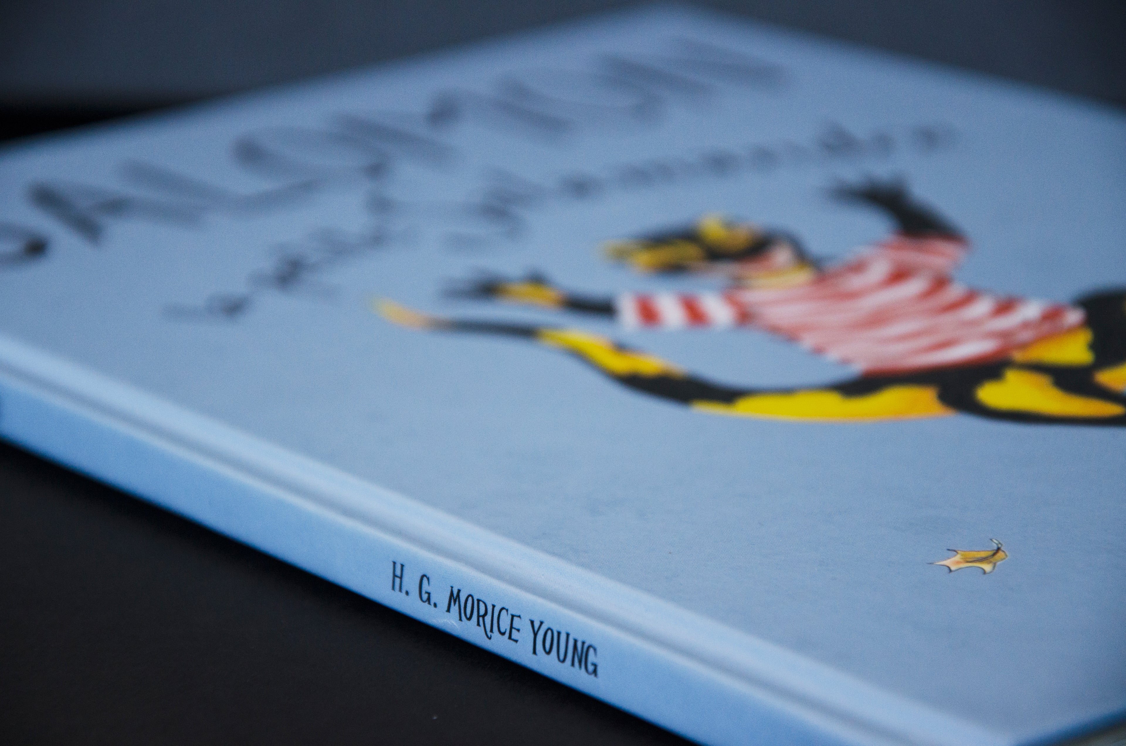 Illustrated Cover from the 'Salomon the Little Salamander' children's book series written and printed by H.G. Morice Young 02