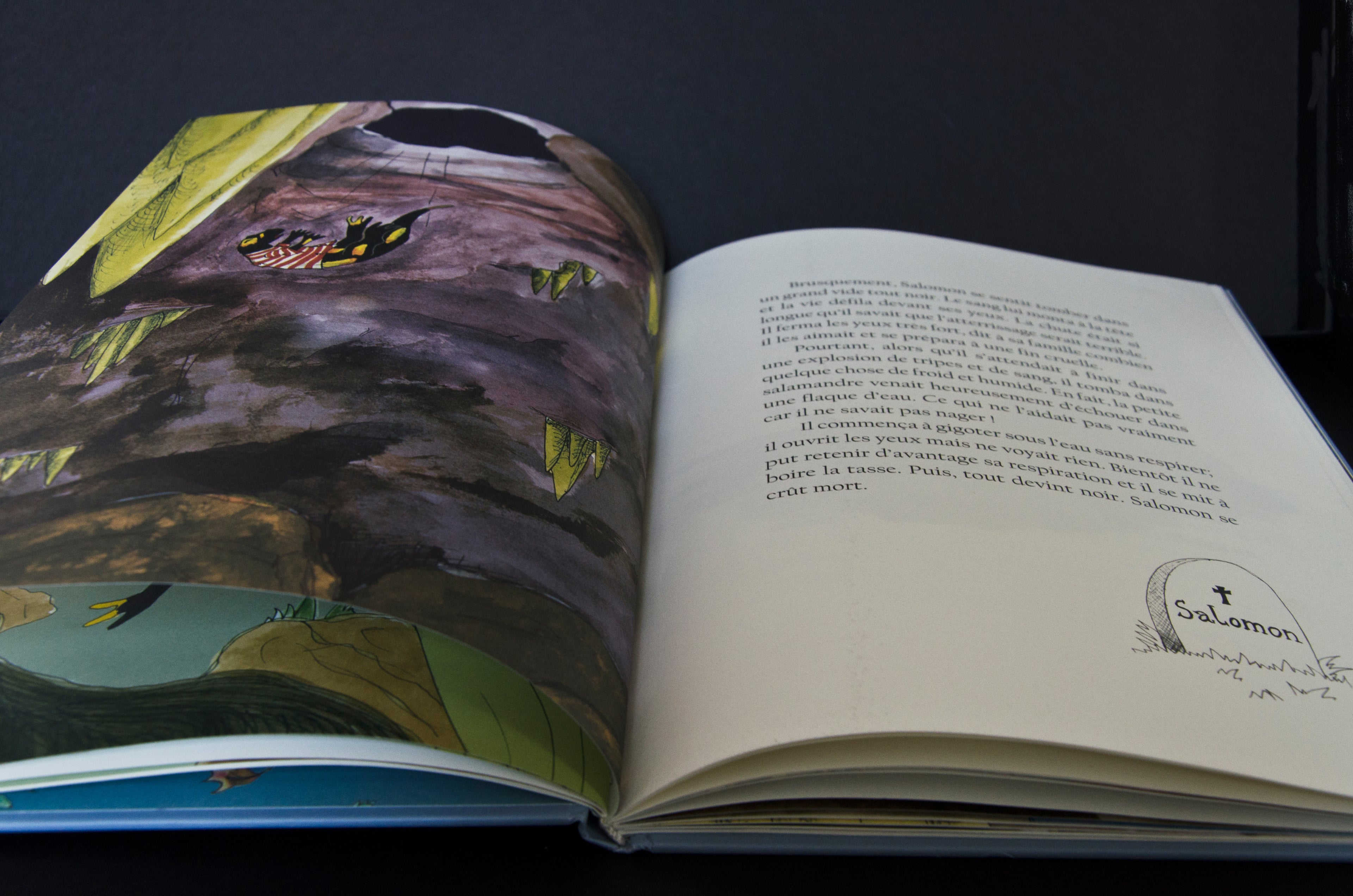 Illustrated Pages from the 'Salomon the Little Salamander' children's book series written and printed by H.G. Morice Young 03