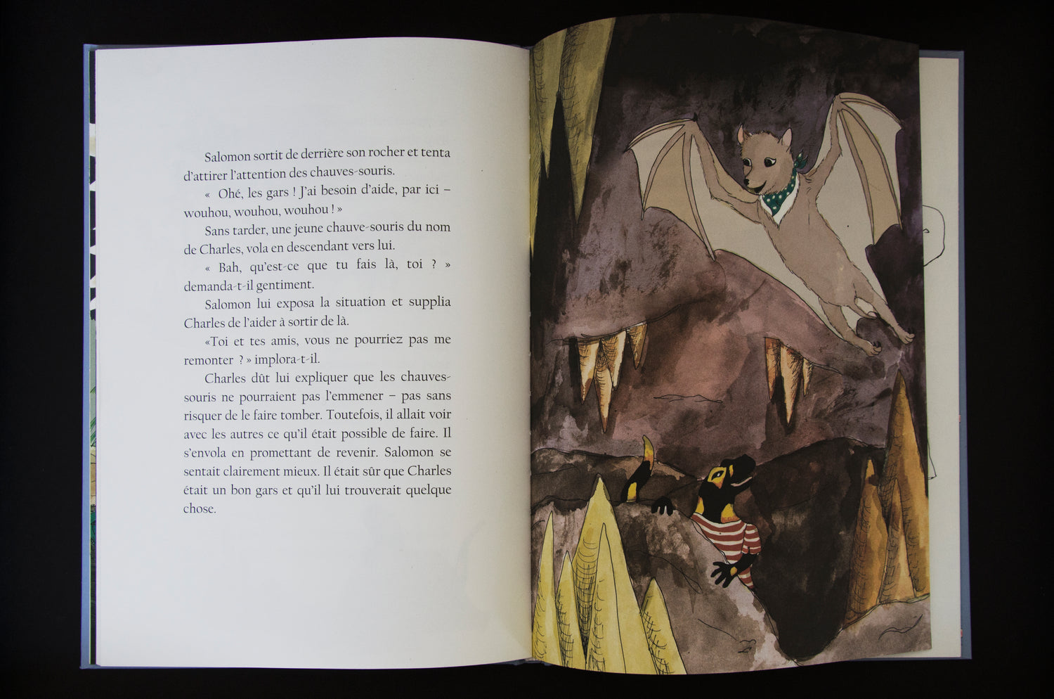 Illustrated Pages from the 'Salomon the Little Salamander' children's book series written and printed by H.G. Morice Young 04