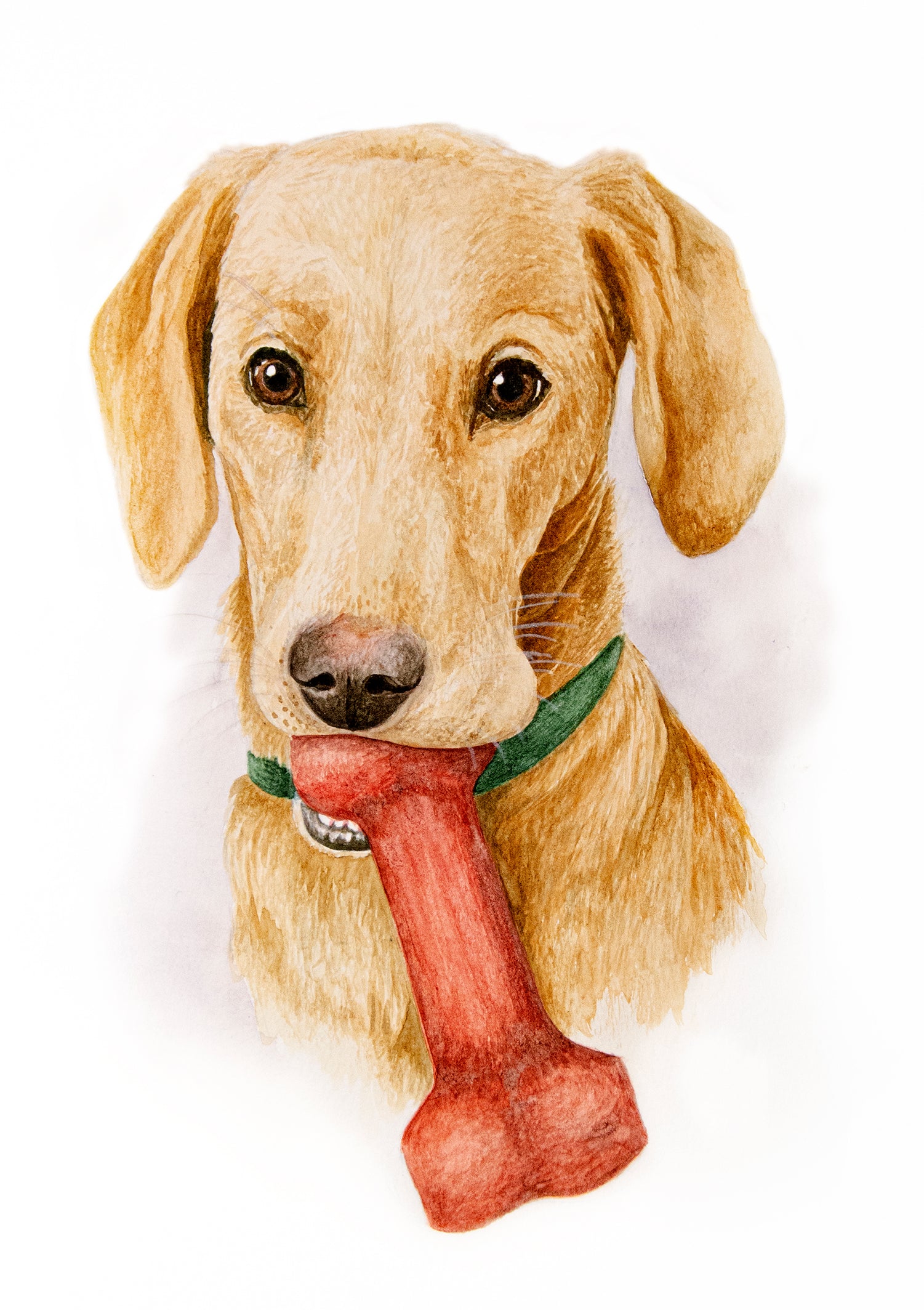 Original piece of a watercolour portrait of a Labrador dog, with unique artistic details on paper